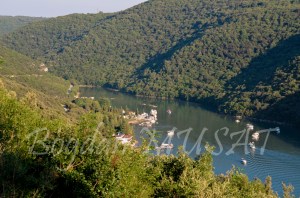 Capatul Fiordului Lim