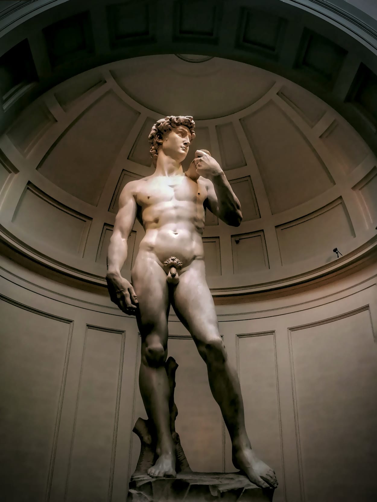 David